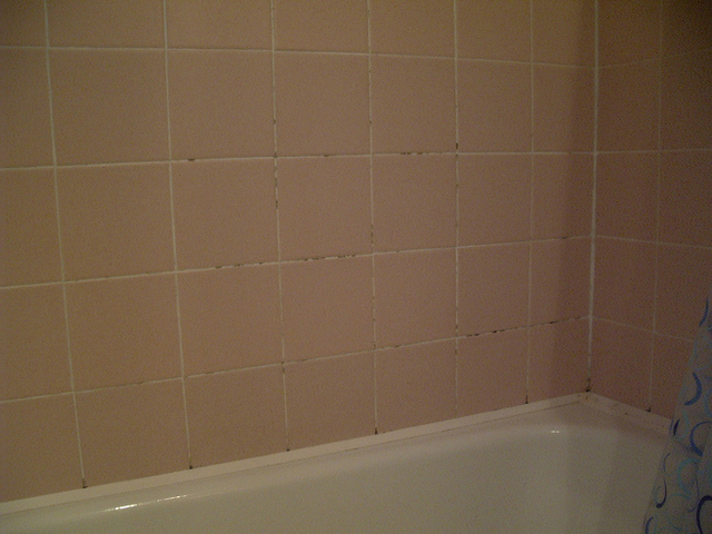 A penészes fürdő fala